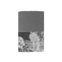 Phases - EP - Alexandre Navarro