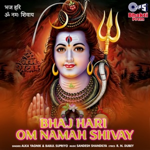 Om Namah Shivay