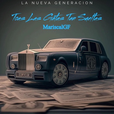 TOAS LAS GATAS TAN SUELTAS - Single