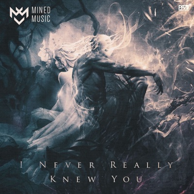 I Never Really Knew You (feat. Miss Geist & Dara Zusko) - Single