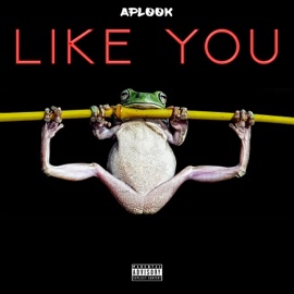 Like You APLOOK