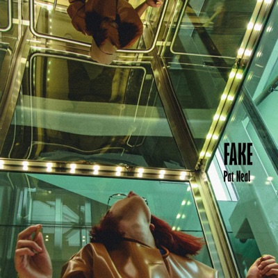 fake - Single