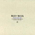 Muddy Waters - Look What You've Done