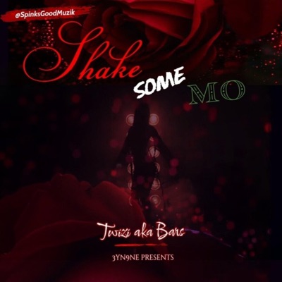 Shake Some Mo (Radio Edit) - Single