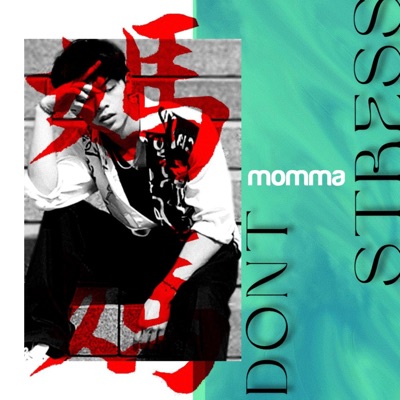 Momma Don't Stress - Single