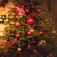 Weihnachtssong - Single - Marric