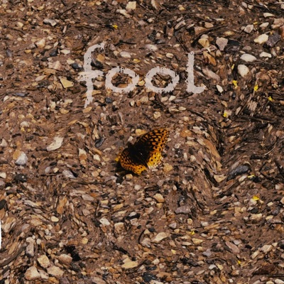 Fool - Single