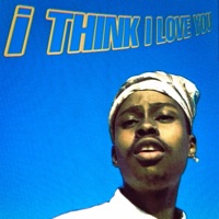 I Think I Love You - EP - Hurricane Dan Fischer