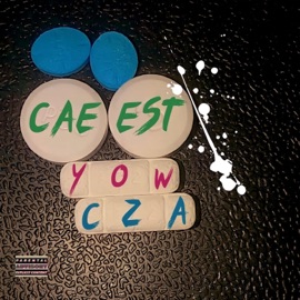 Yow Cza CAE EST