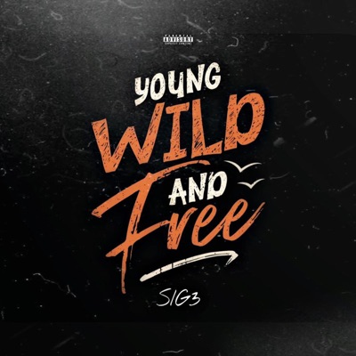 Young Wild and Free - Single