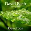 Dewdrops - Single