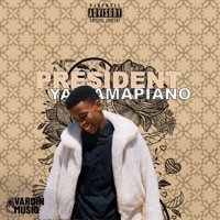 President Ya Amapiano - Vardin MusiQ
