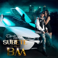 Súbete al BM - Single - Chicho Castro y Sus Alia2