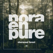 Sherwood Forest artwork