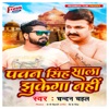 Pawan Singh Saala Jhukega Nahi - Single