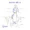 Achim - David Beta lyrics