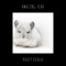 Amazing Year - krazy koala lyrics