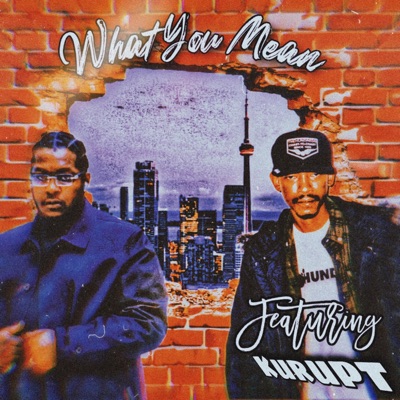 What You Mean (feat. Kurupt) [Radio Edit] - Single