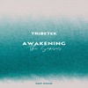 Awakening the Senses - Single