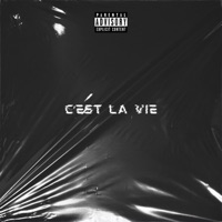C'est La Vie - Single - Jack B.