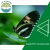 Sanctity in Nature