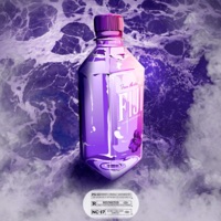 Água Fiji (feat. Gu$) - Single - Flowers