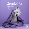 Gentle Pet Lullabies: Soothing Sounds to Calm Your Pet, Deep Sleep for Dogs and Cats, Anti- Stress Therapy - Pet Care Club
