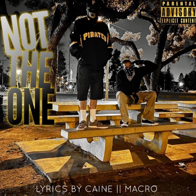 Not the One (feat. Macro) - Single