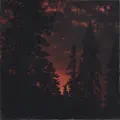 Evening Walk