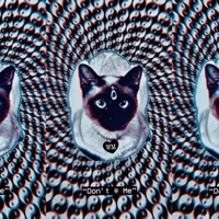 Don't @ Me - Single - Welles Maddingly