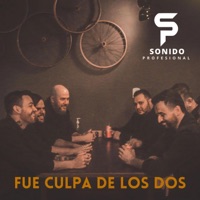 Fue Culpa de los Dos