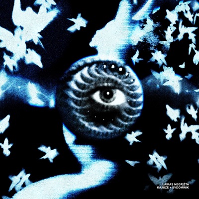 Laikas Negrįžta - Single