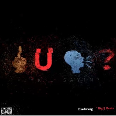 Fuck U Sayin? - Single