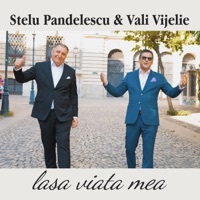 Lasa viata mea - Single - Stelu Pandelescu & Vali Vijelie