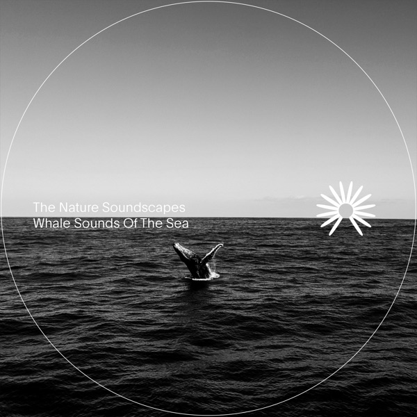 Whale Sounds of the Sea - Single