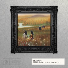 The Dark - Single