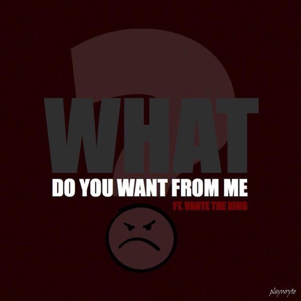 WDYWFM (feat. Vante the King)