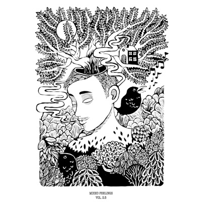 Mixed Feelings Vol. 2.5 - EP