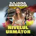 Nivelul Urmator