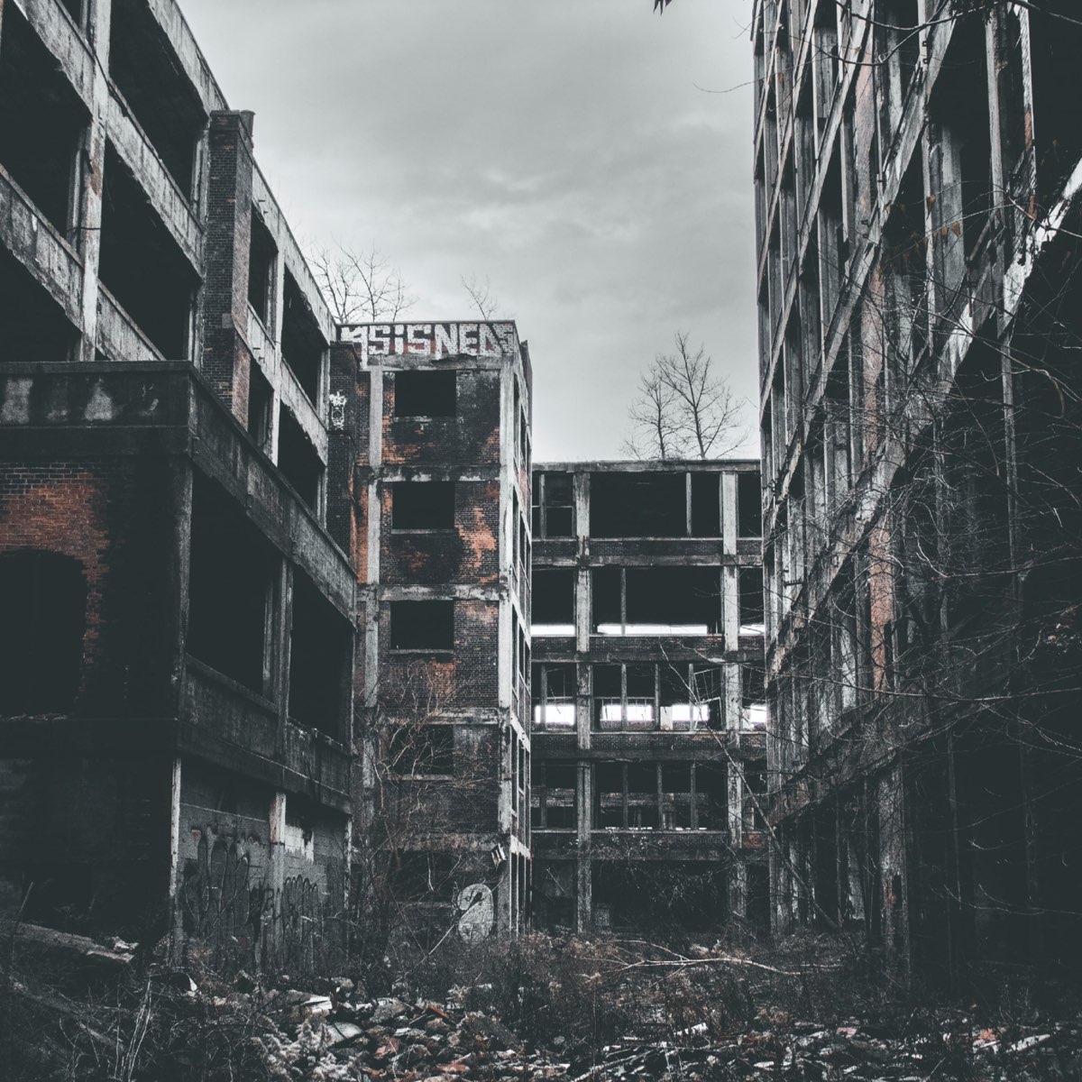 Apocalyptic vibes. Детройт сейчас 2022. Packard Plant. Фото Детройта сегодня 2022. Detroit Techno.