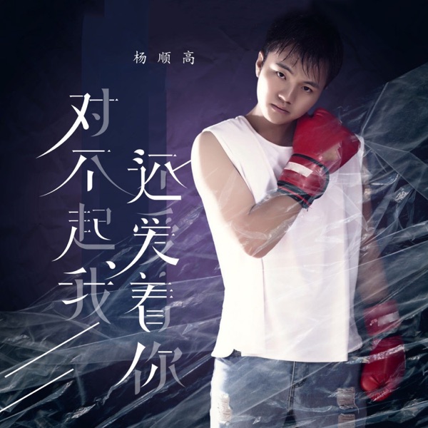 对不起我还爱着你 - Single