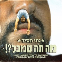 מה ת'ה טמבל - Single - Nati Hassid