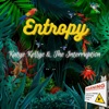 Entropy - Single