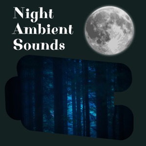 Night Ambient Sounds, Cricket, Swamp Sounds at Night