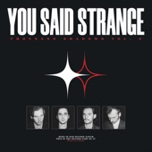 You Said Strange - What A Day