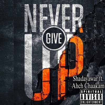 Never Give Up (feat. Ahch Chaakam) - Single