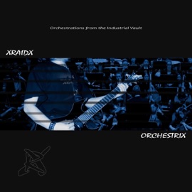 Watching the Waves (Orchestrated) Xraidx