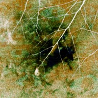 Toxic - Single - Raf Kairyl & HVWK