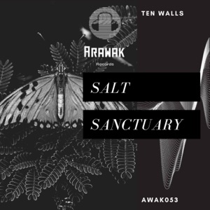 Salt Sanctuary - Single
