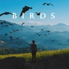 Birds - Single